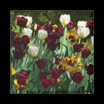 Maroon and Yellow Tulips Magnet