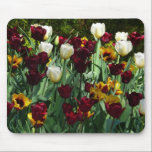 Maroon and Yellow Tulips Mousepad