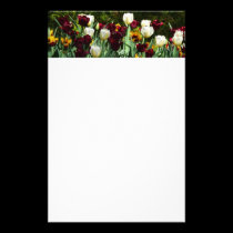 Maroon and Yellow Tulips Stationery stationery