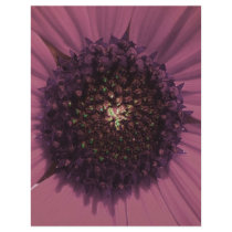 Maroon Black Eyed Susan Altered letterhead by rspears01 Maroon Black Eyed Susan Altered letterhead