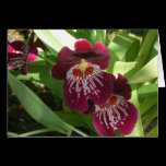 Maroon Orchids Card