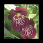 Maroon Orchids Magnet