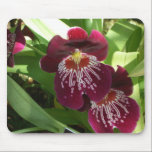 Maroon Orchids Mousepad
