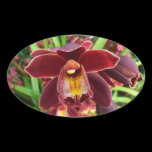 Maroon Orchids Sticker