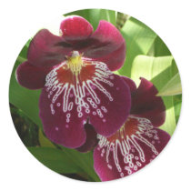 Maroon Orchids Sticker by mlewallpapers Maroon Orchids Sticker