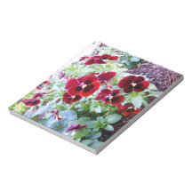 Maroon Pansies Memo Notepad