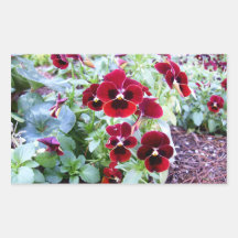 Maroon Pansies Rectangular Stickers