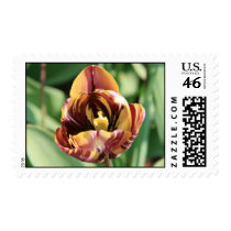 Maroon & Yellow Tulip postage