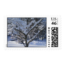 Marple - Blizzard - Stamps