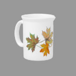 Marple leaf pitchers