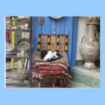 Marrakesh Cat postcards