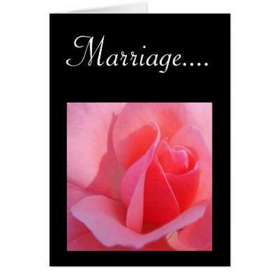 Pink Macro Rose Photo with Marriage Quote on Greeting Card Photography by 