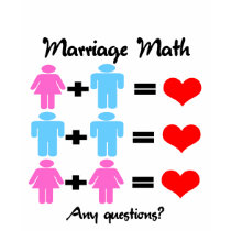 Marriage Math Women's Shirts