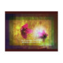 marriage of Titania; Salmon berry floral duet Post Card