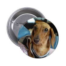 marronsummer09 pinback buttons