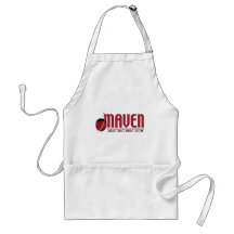 Mars Atmosphere and Volatile EvolutioN (MAVEN) Apron