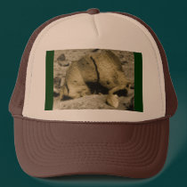 Mars Critter hats