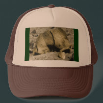 Mars Critter hats