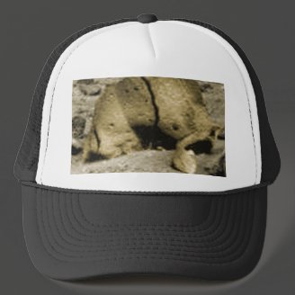 Mars Critter