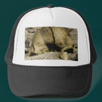 Mars Critter hats