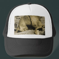 Mars Critter hats