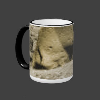 Mars Critter