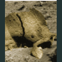 Mars Critter t-shirts