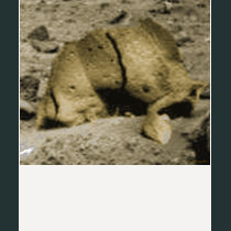 Mars Critter t-shirts