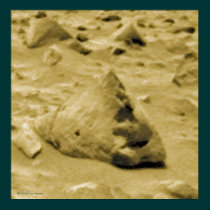Mars Rat posters