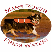 Mars Rover Photo Cut Out
