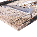 Marseilles, Gulls canvas prints