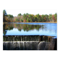 marsh_dam posters by stevelacouter marsh_dam posters