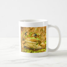 Marsh Frog Coffee Mugs