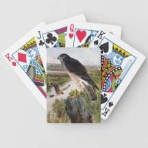 Marsh Hawk in Wetlands Bicycle Card Deck