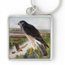 Marsh Hawk Key Chains