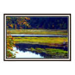 Marsh, Lake Pend Orielle