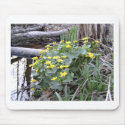 Marsh Marigolds mousepads