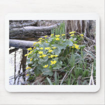 Marsh Marigolds mousepads