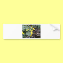 Marsh Marigolds of Bachelder Brook bumper stickers