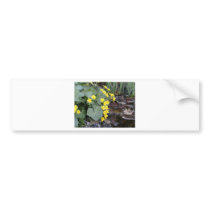Marsh Marigolds of Bachelder Brook bumper stickers by eelkat Marsh Marigolds of Bachelder Brook bumper stickers