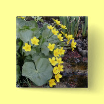Marsh Marigolds of Bachelder Brook buttons