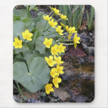 Marsh Marigolds of Bachelder Brook mousepads by eelkat Marsh Marigolds of Bachelder Brook mousepads