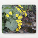 Marsh Marigolds of Bachelder Brook mousepads