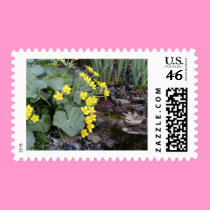 Marsh Marigolds of Bachelder Brook postage by eelkat Marsh Marigolds of Bachelder Brook postage