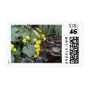 Marsh Marigolds of Bachelder Brook stamp