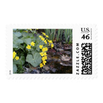 Marsh Marigolds of Bachelder Brook postage