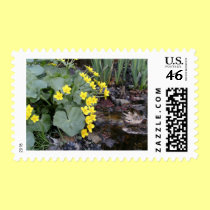 Marsh Marigolds of Bachelder Brook postage