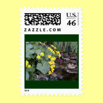 Marsh Marigolds of Bachelder Brook postage