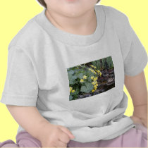 Marsh Marigolds of Bachelder Brook t-shirts