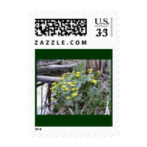 Marsh Marigolds postage